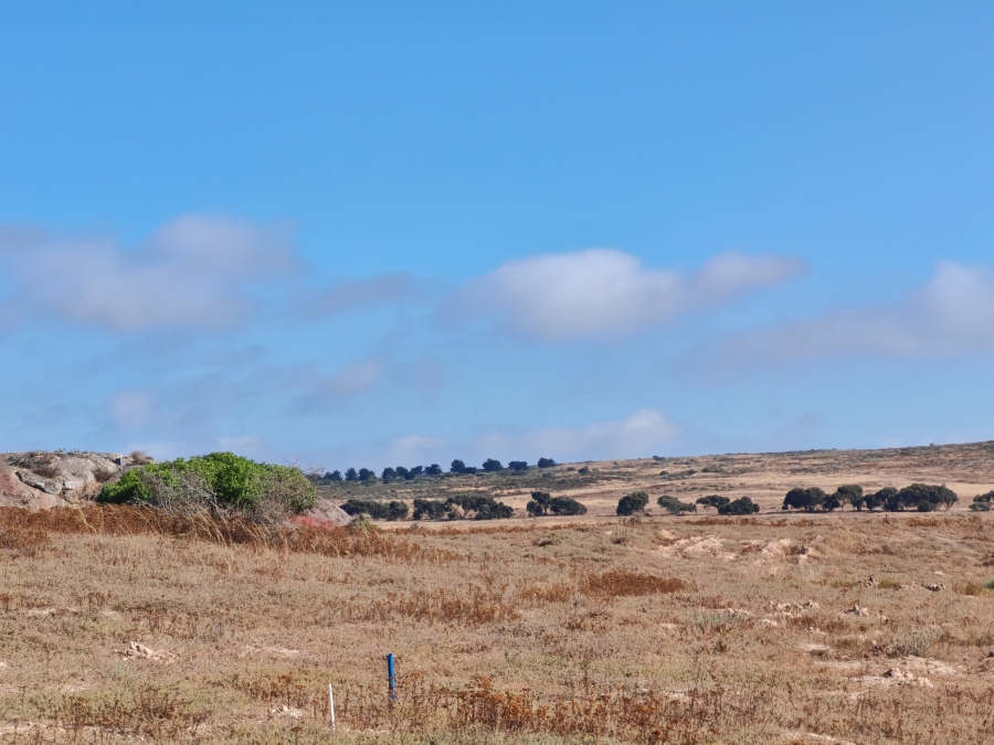 0 Bedroom Property for Sale in Langebaan Country Estate Western Cape